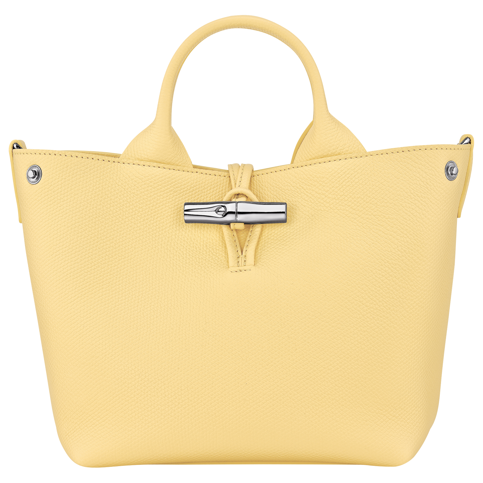Le Roseau S Handbag