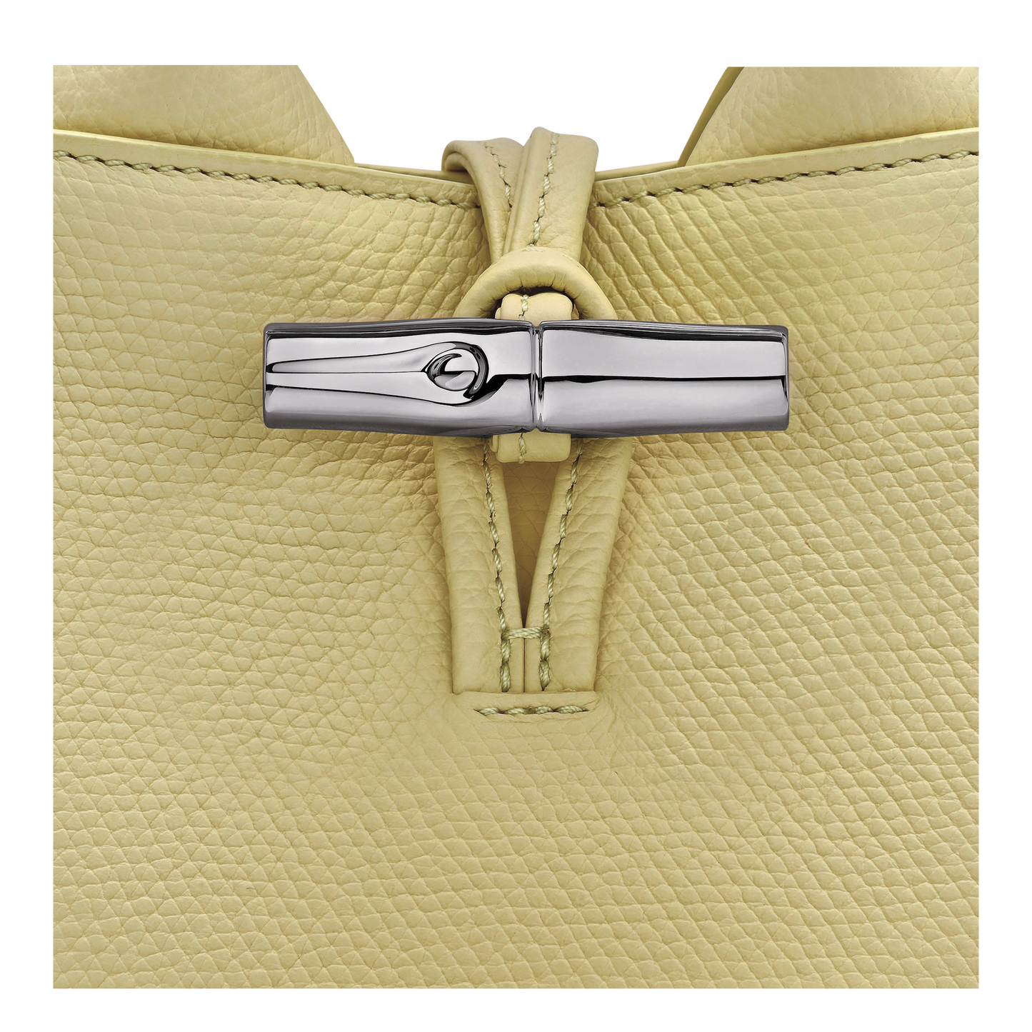 Le Roseau XS Handbag