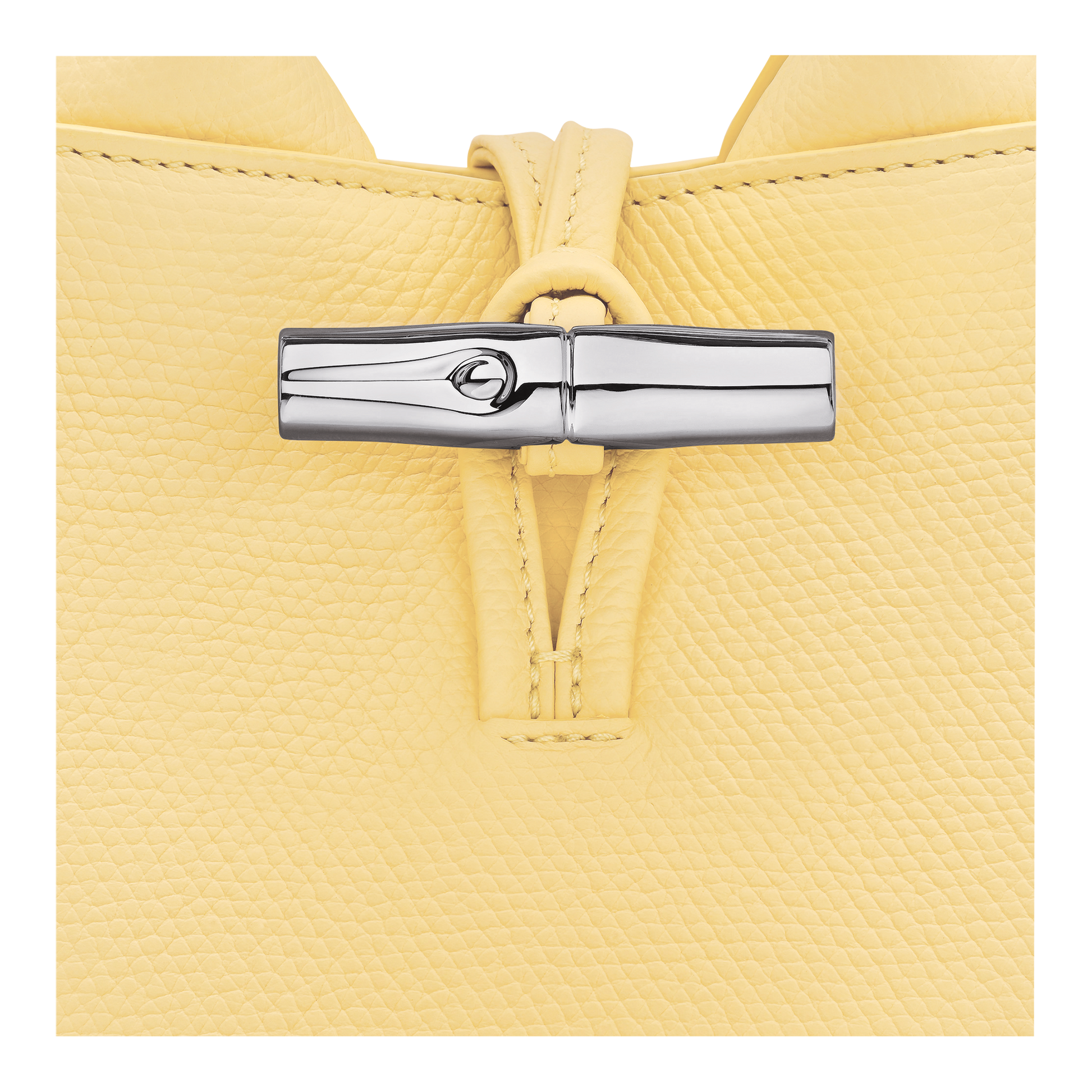 Le Roseau XS Handbag