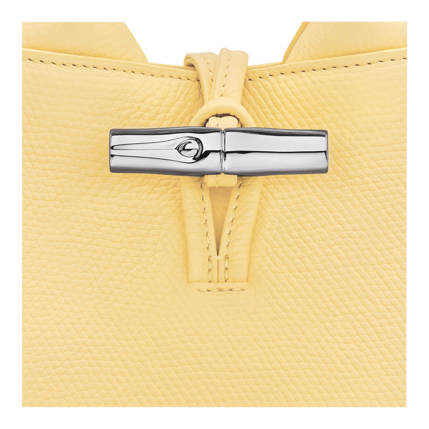 Le Roseau XS Handbag