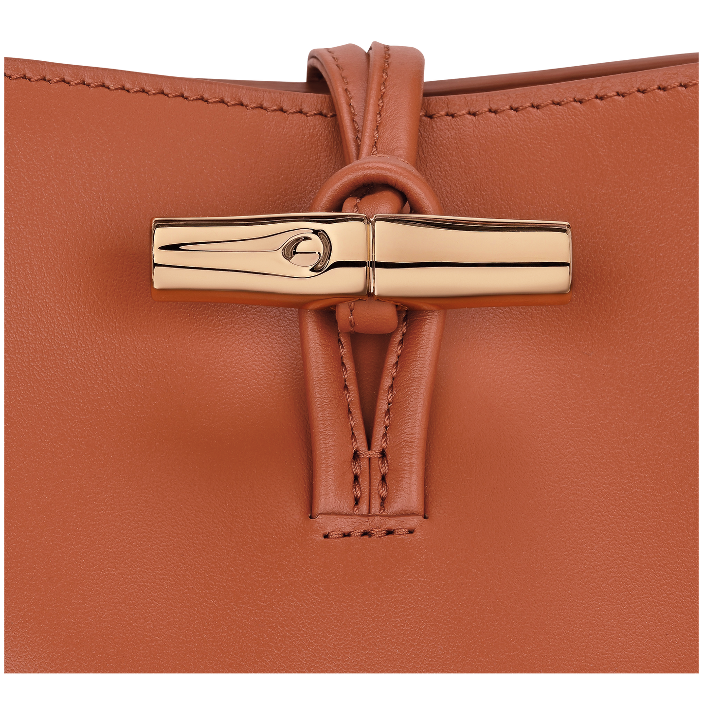 Le Roseau XS Bucket bag