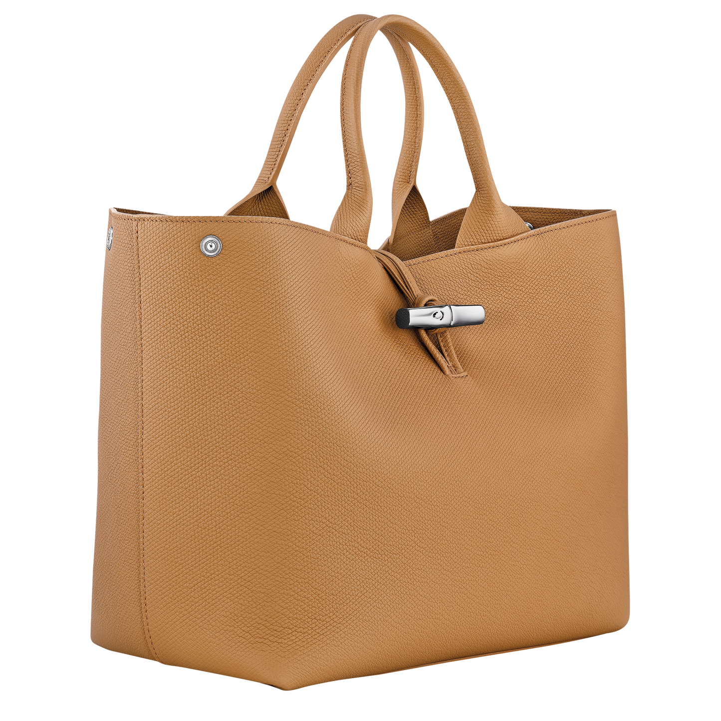 Le Roseau L Handbag