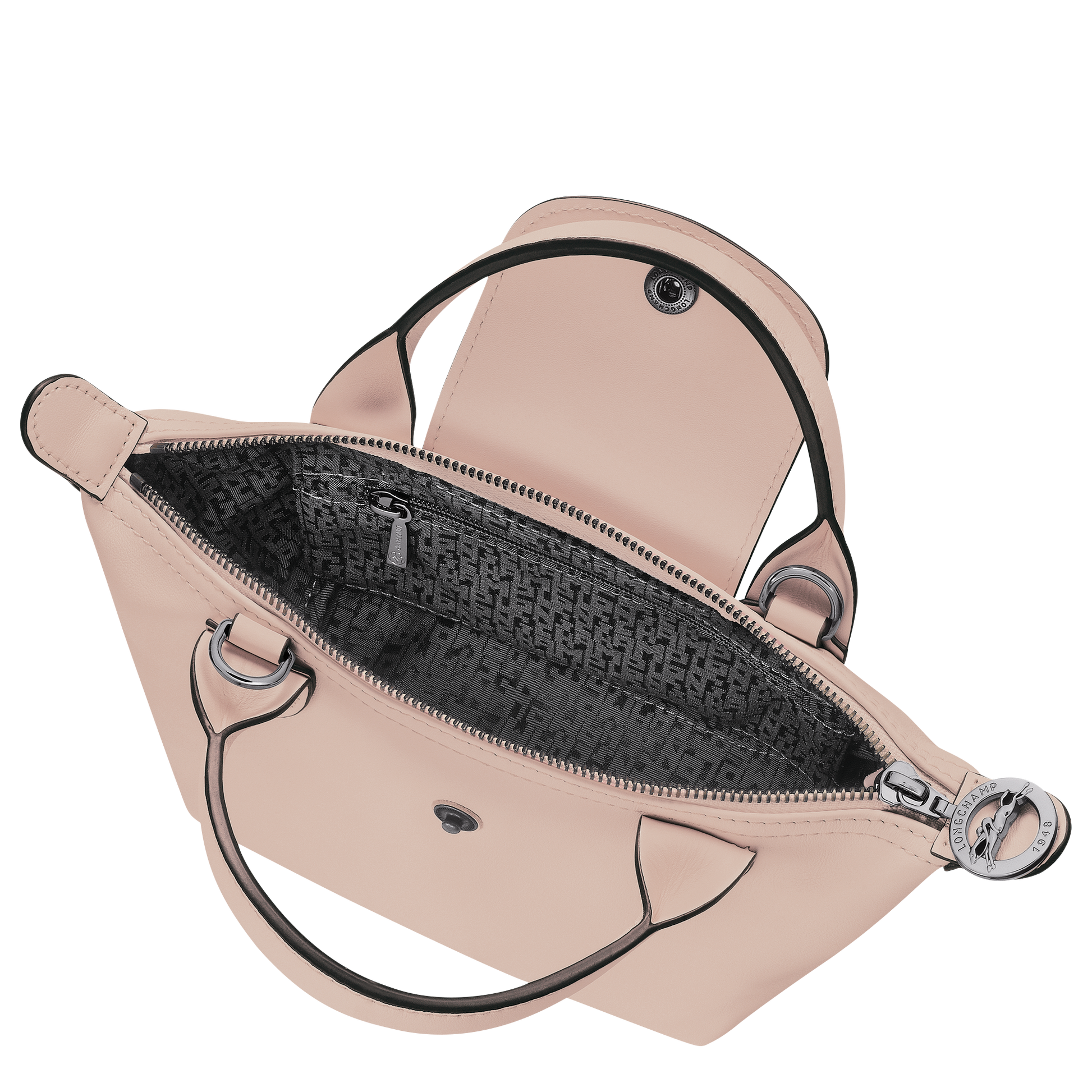 Le Pliage Xtra XS Handbag
