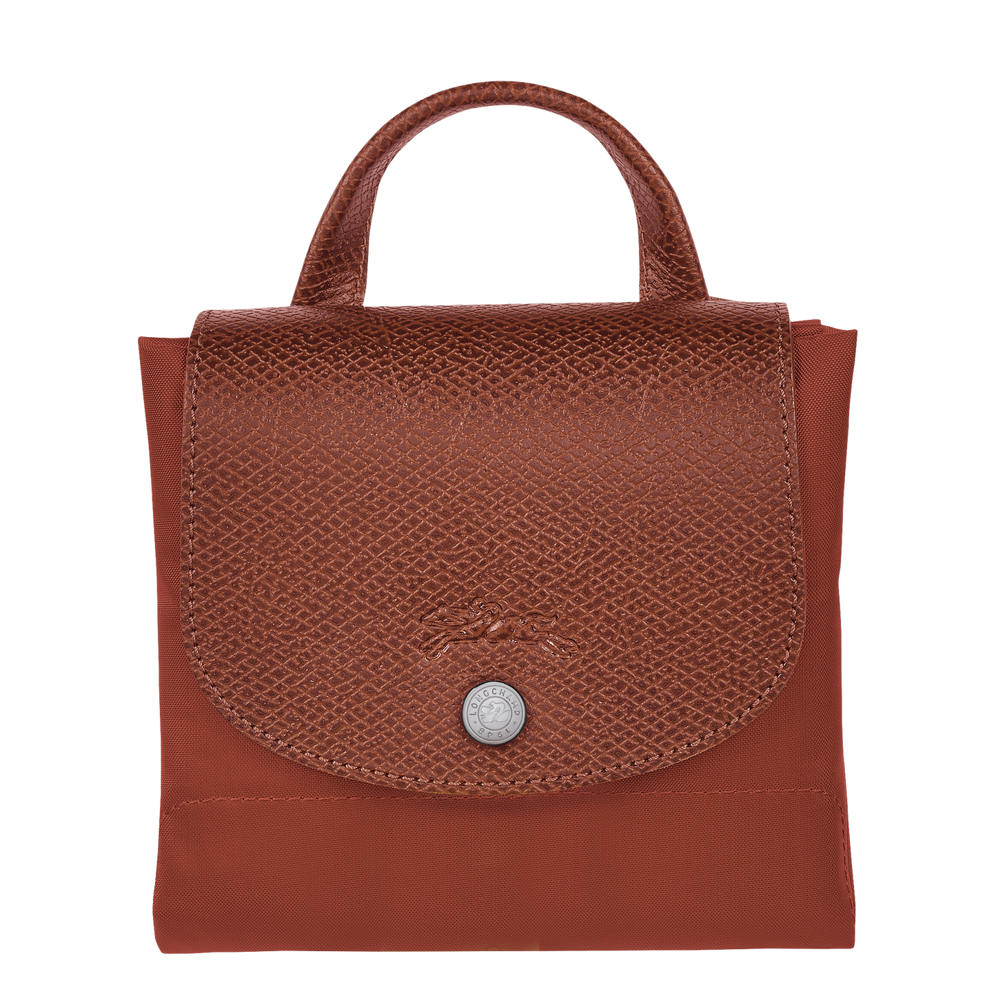 Le Pliage Green M Backpack