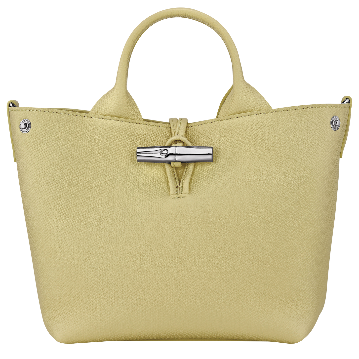 Le Roseau S Handbag