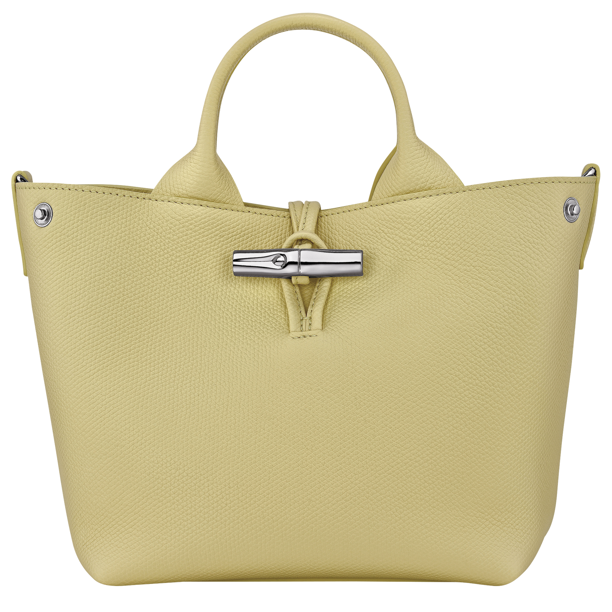 Le Roseau S Handbag