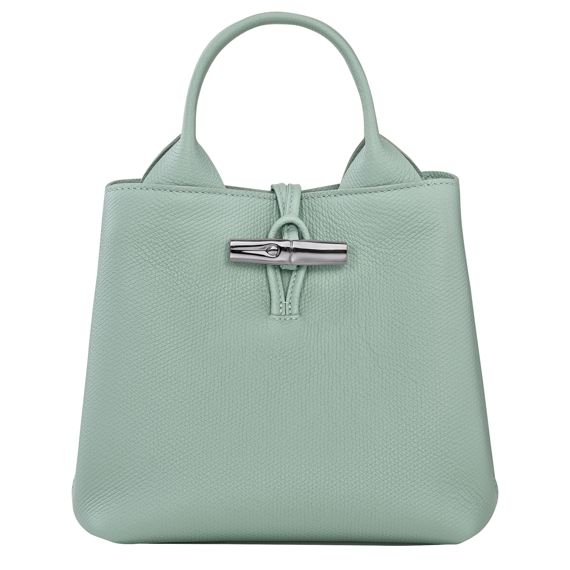 Le Roseau S Handbag