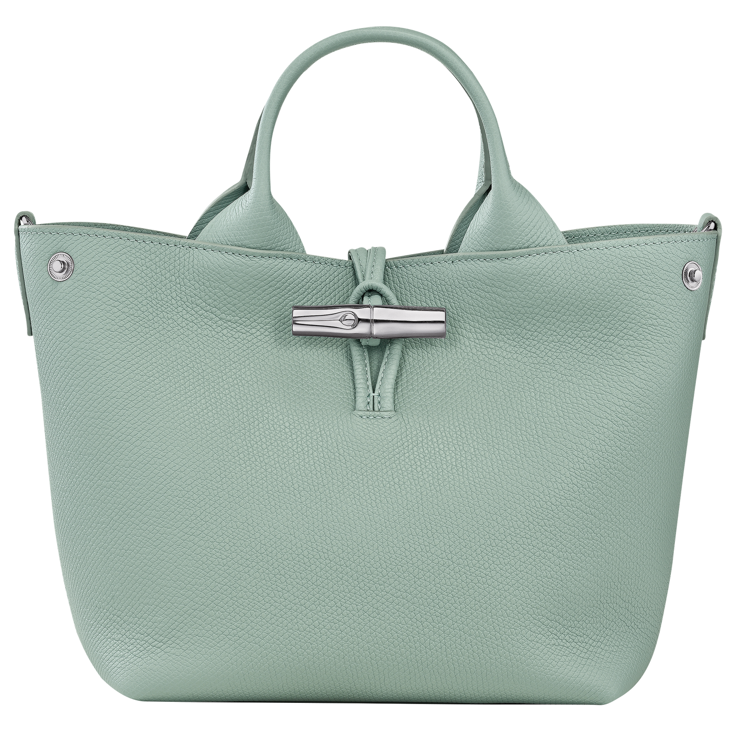 Le Roseau S Handbag