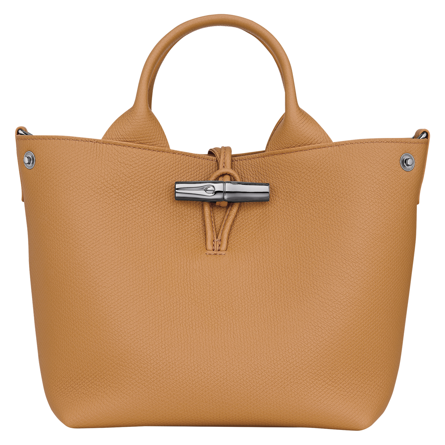 Le Roseau S Handbag