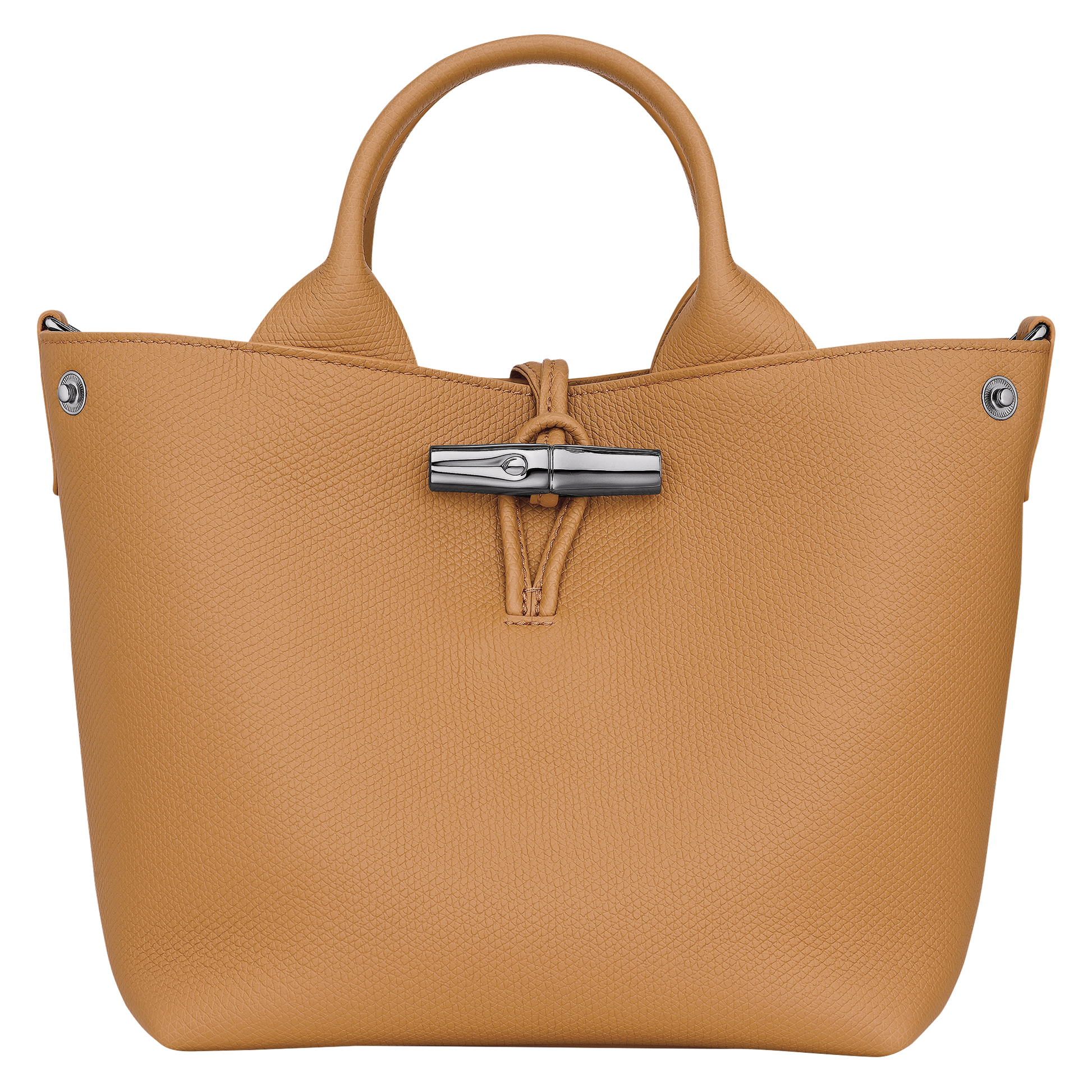 Le Roseau S Handbag