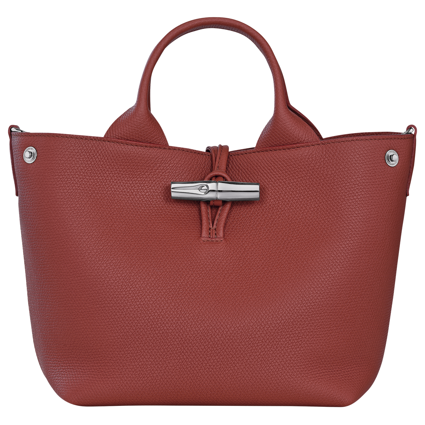 Le Roseau S Handbag