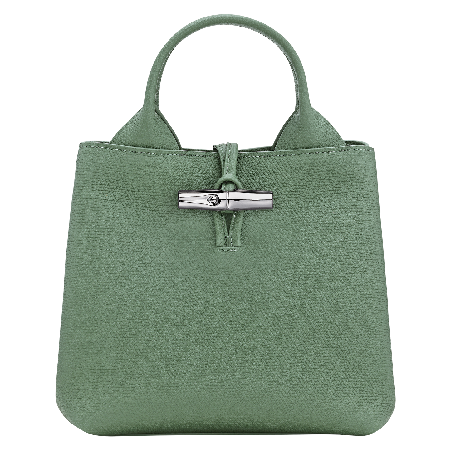 Le Roseau S Handbag