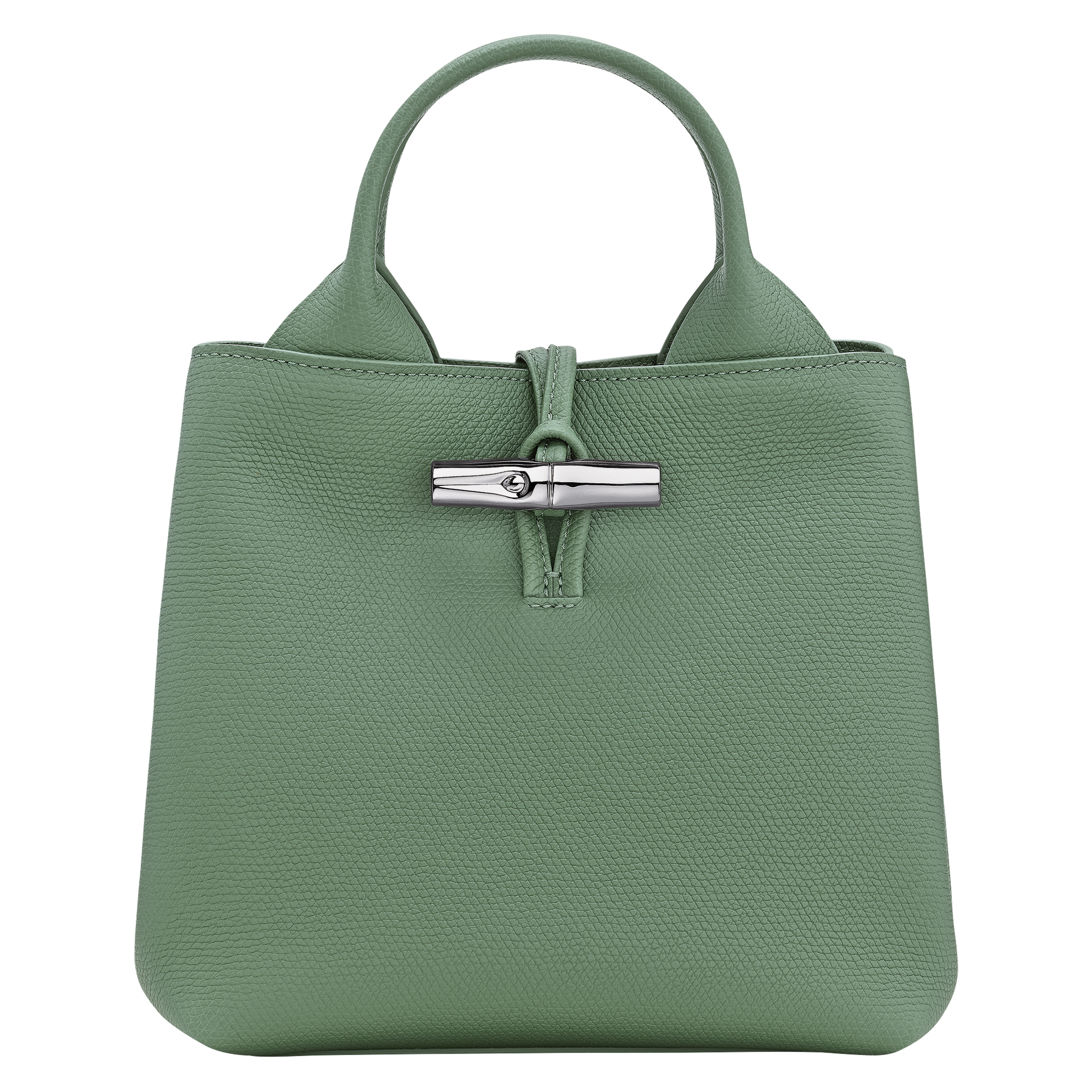 Le Roseau S Handbag