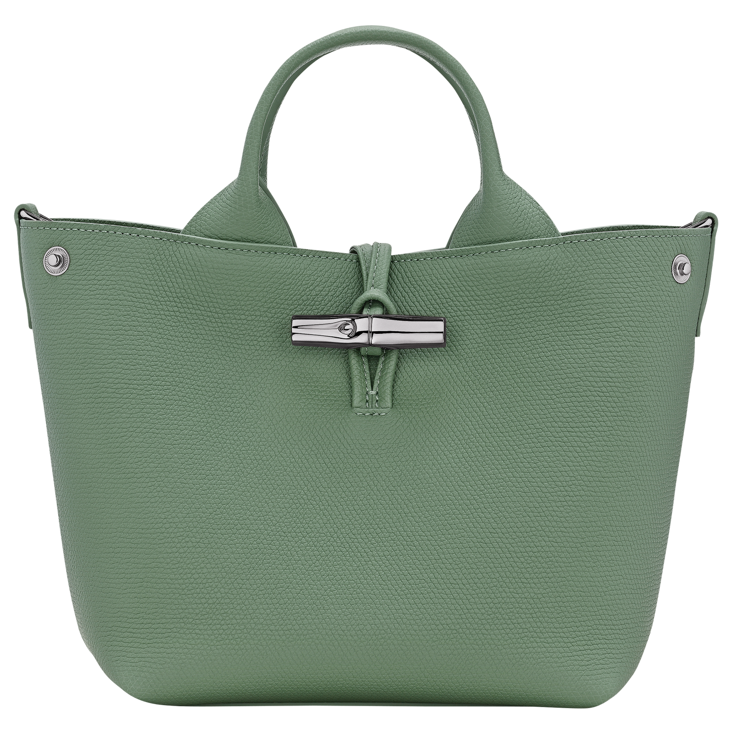 Le Roseau S Handbag