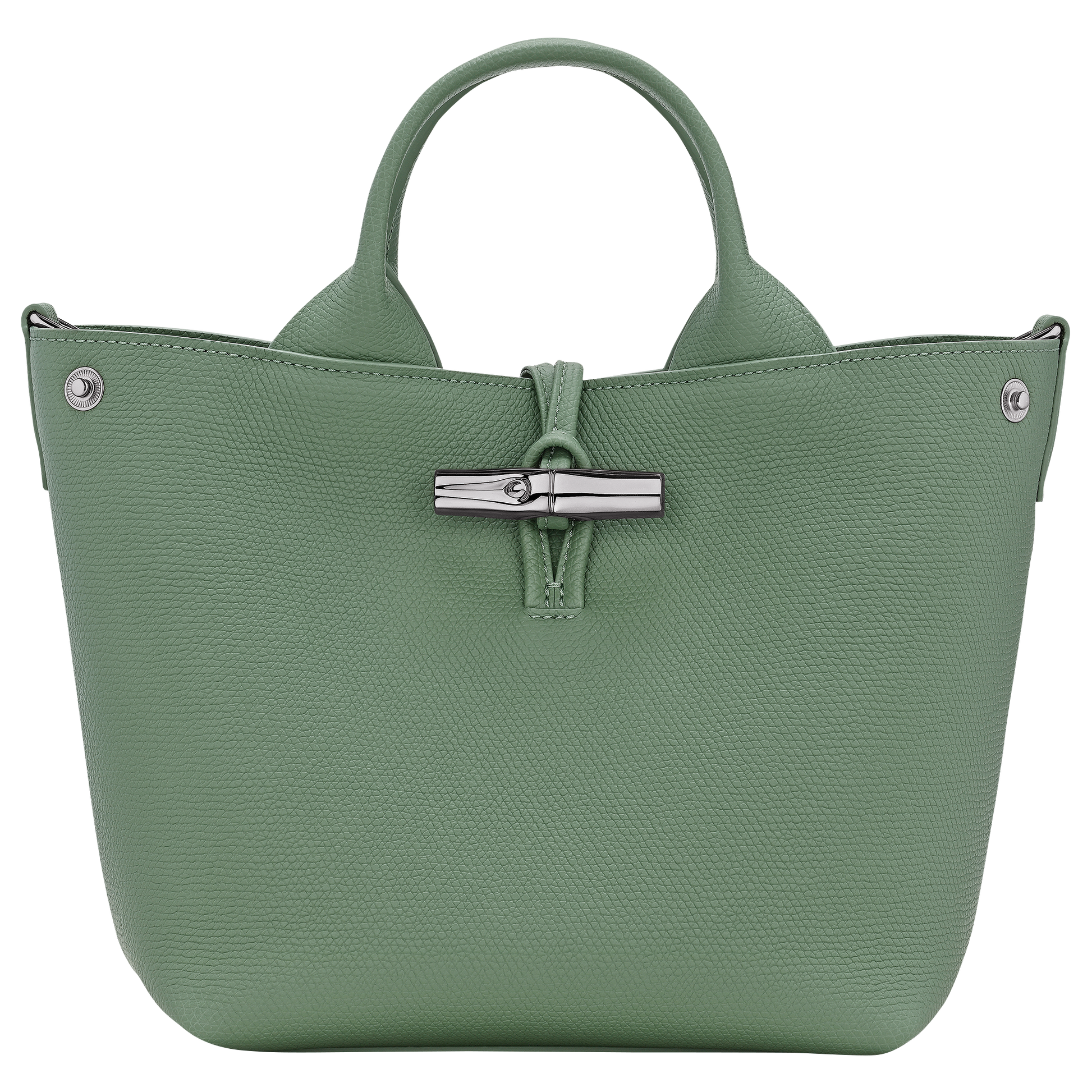 Le Roseau S Handbag