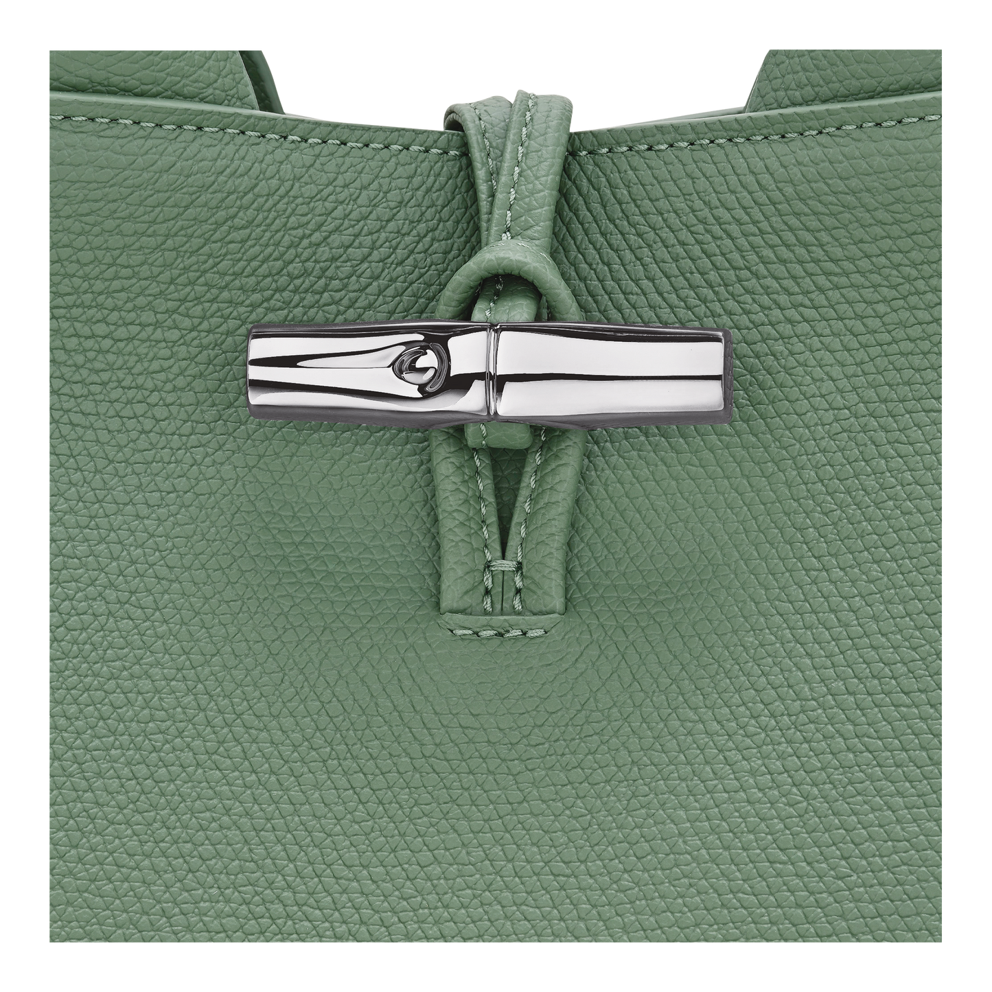 Le Roseau S Handbag