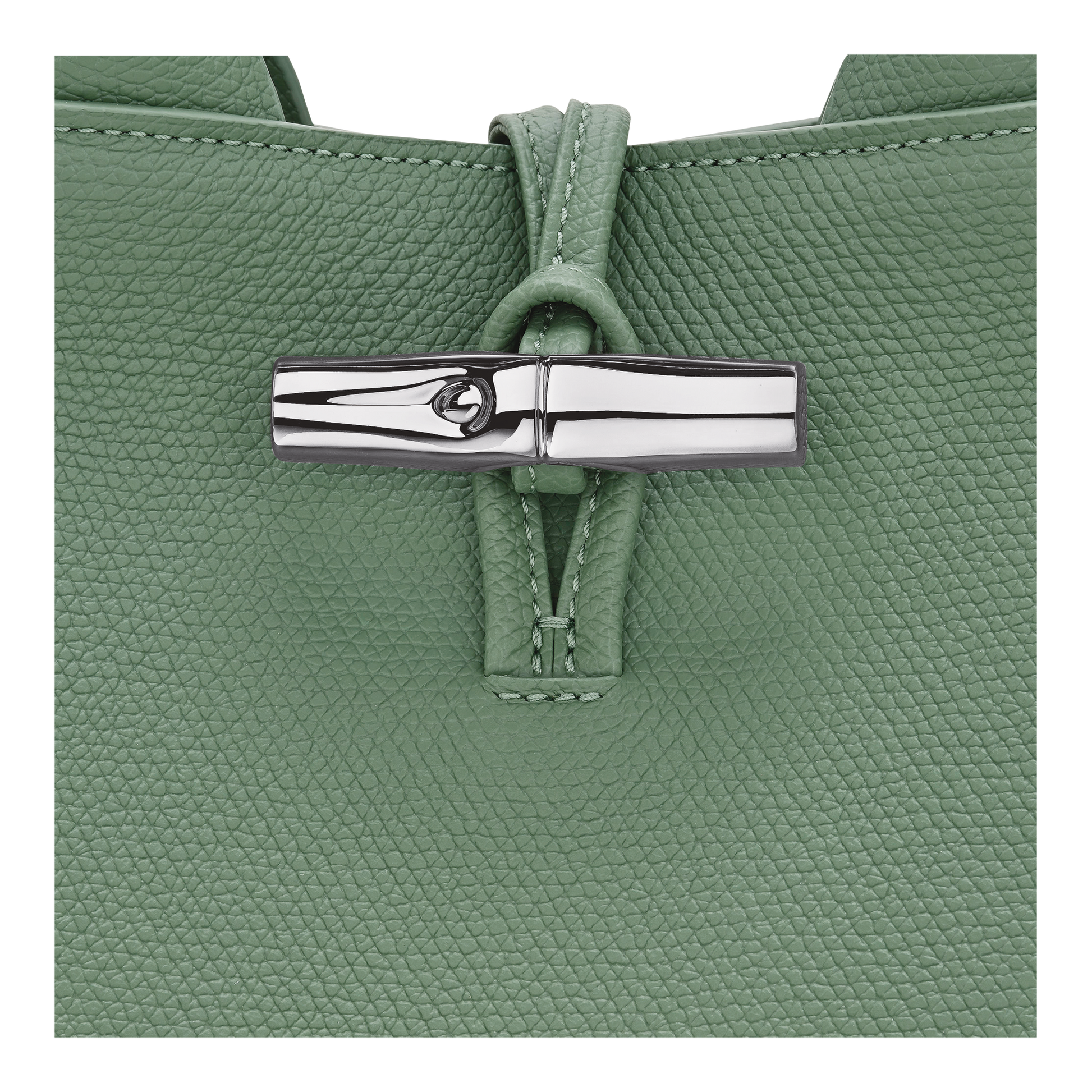 Le Roseau S Handbag