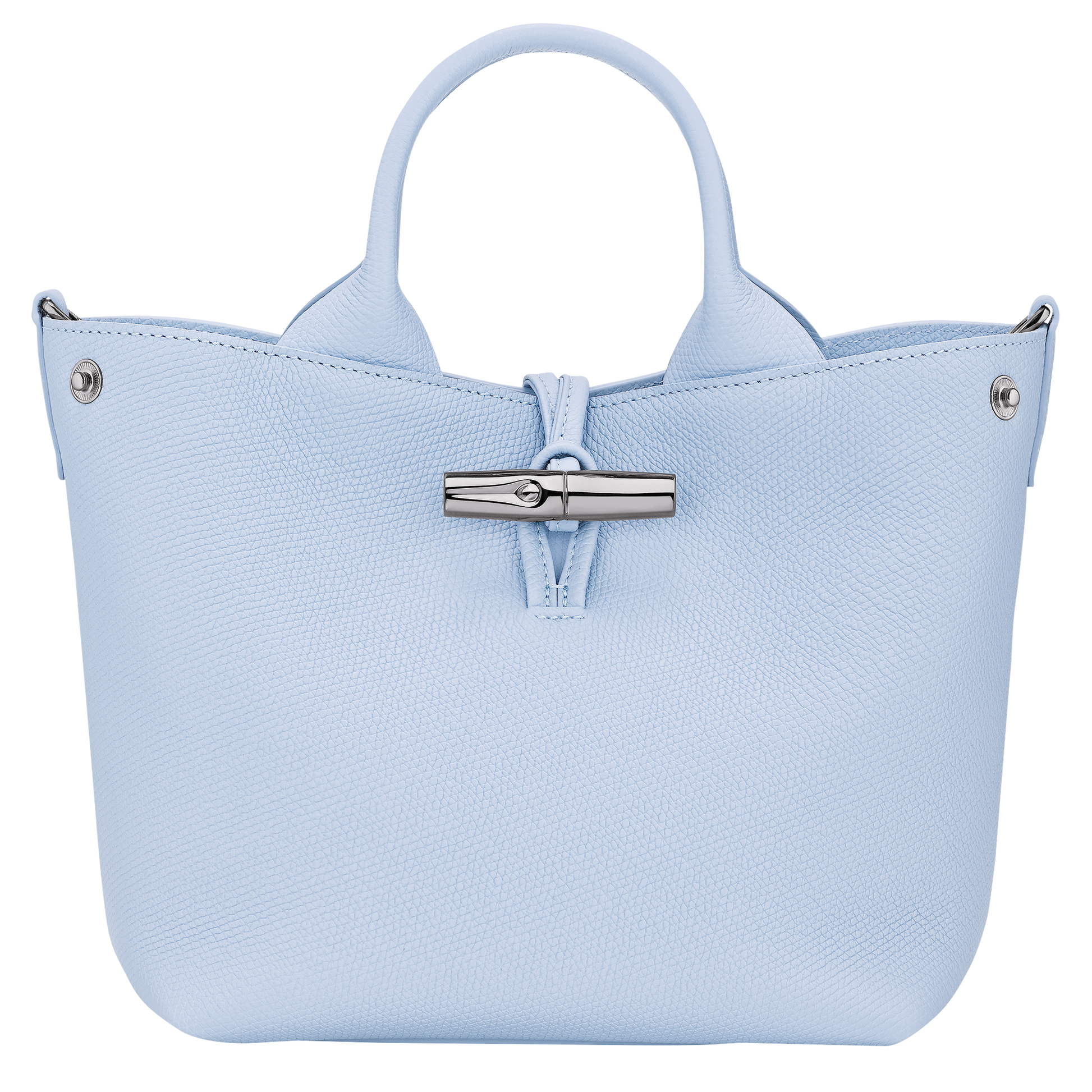 Le Roseau S Handbag