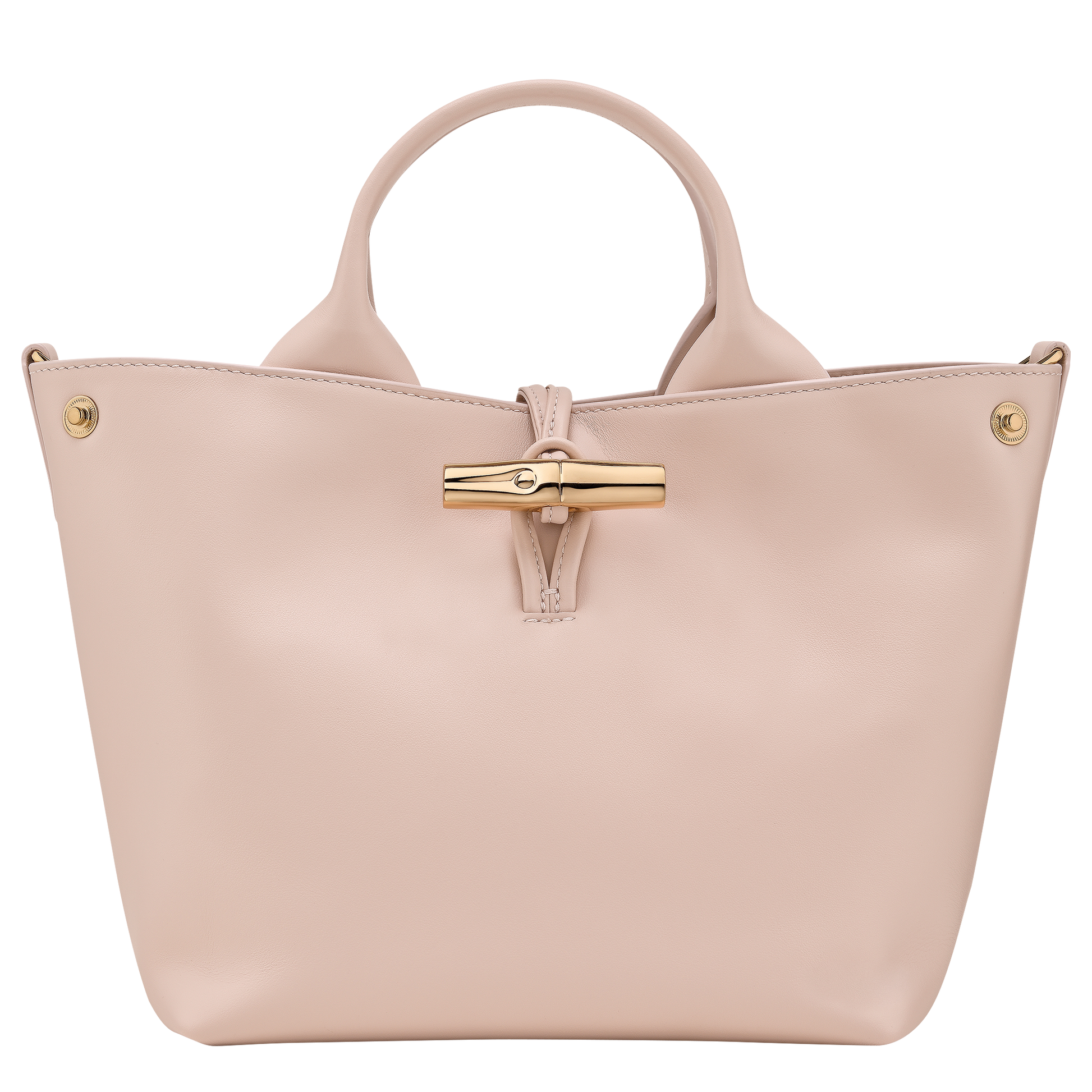 Le Roseau S Handbag