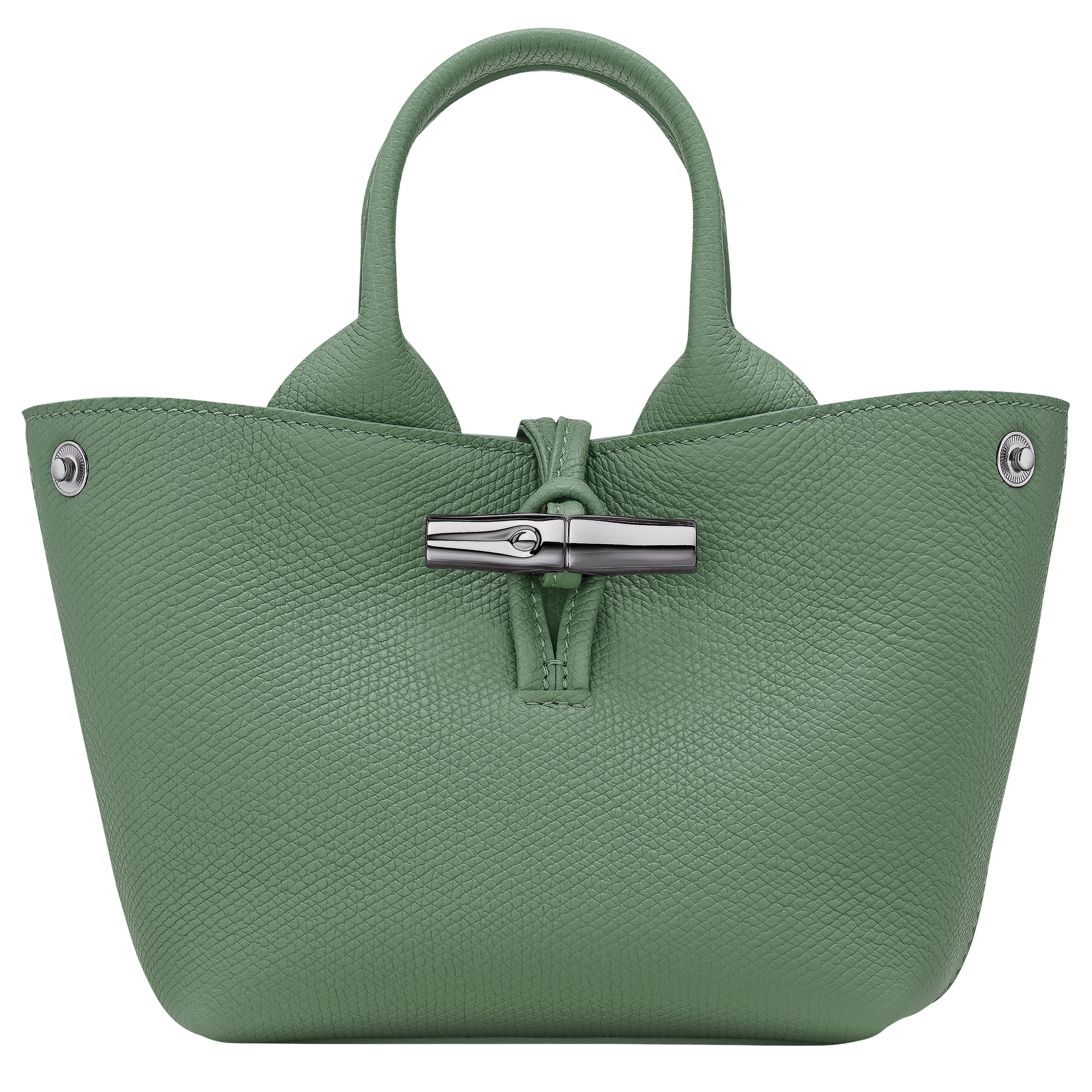 Le Roseau XS Handbag