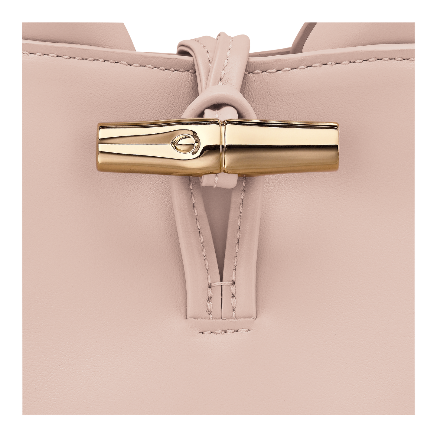 Le Roseau XS Handbag