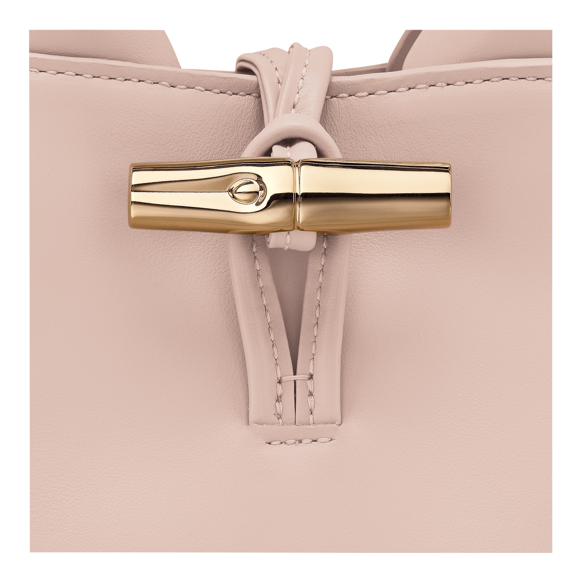 Le Roseau XS Handbag