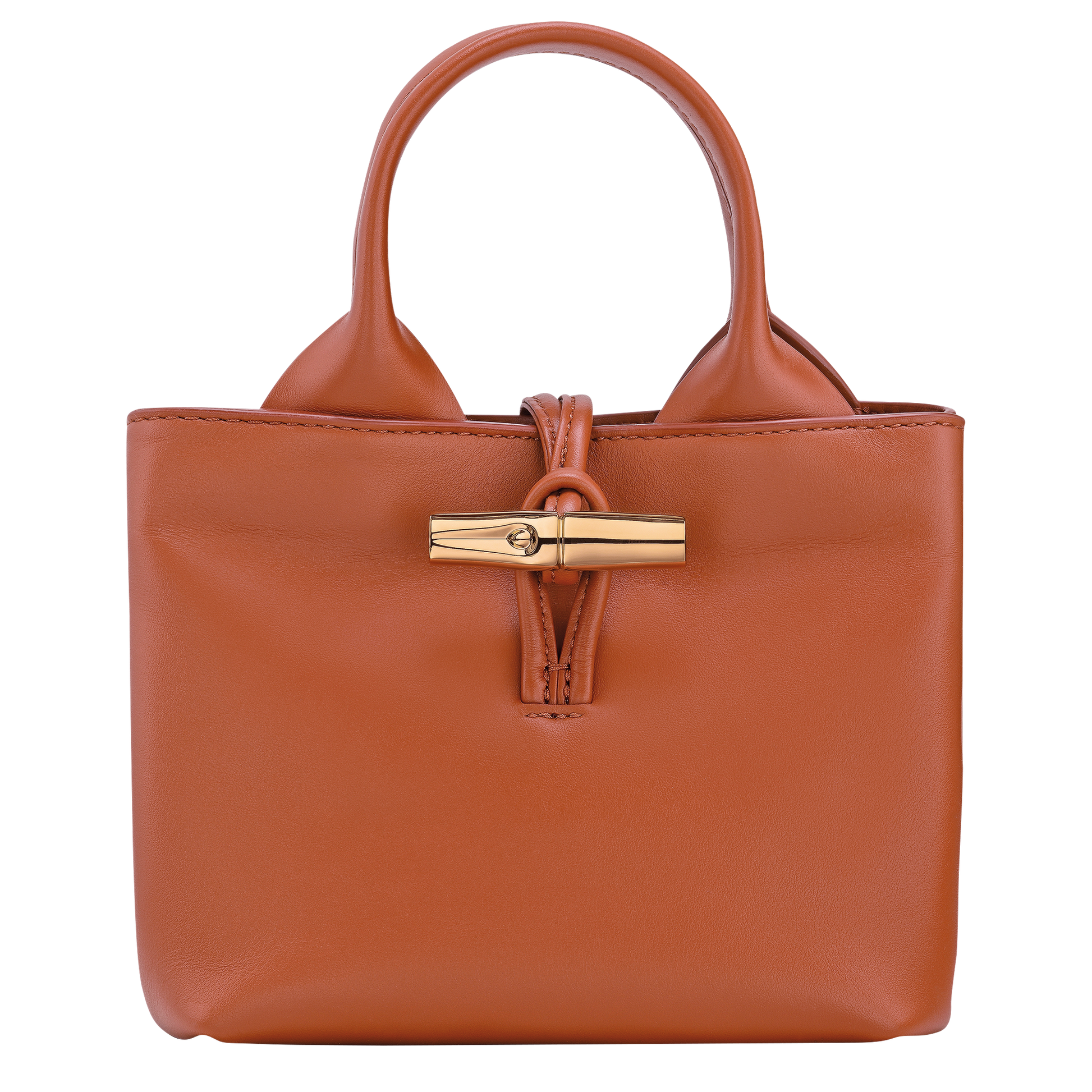 Le Roseau XS Handbag