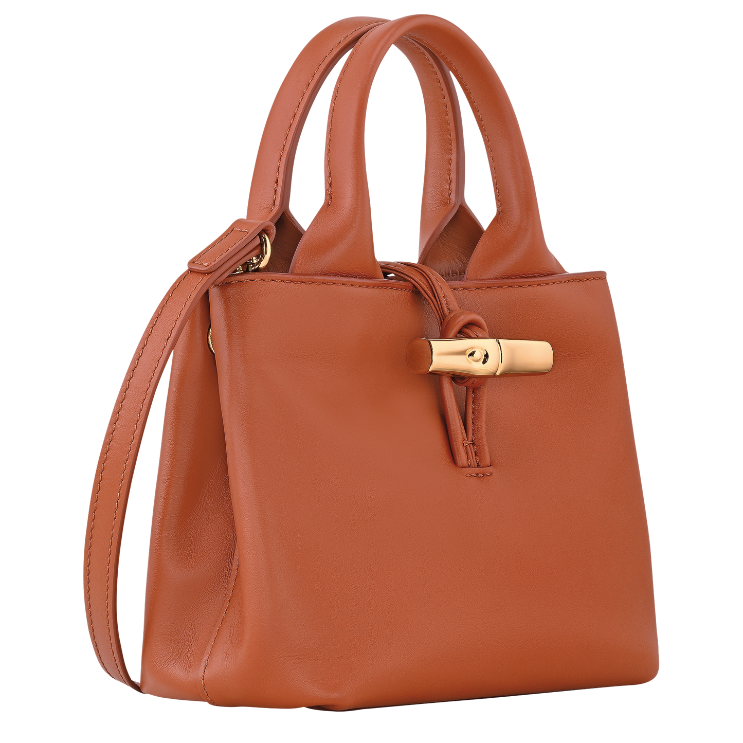 Le Roseau XS Handbag