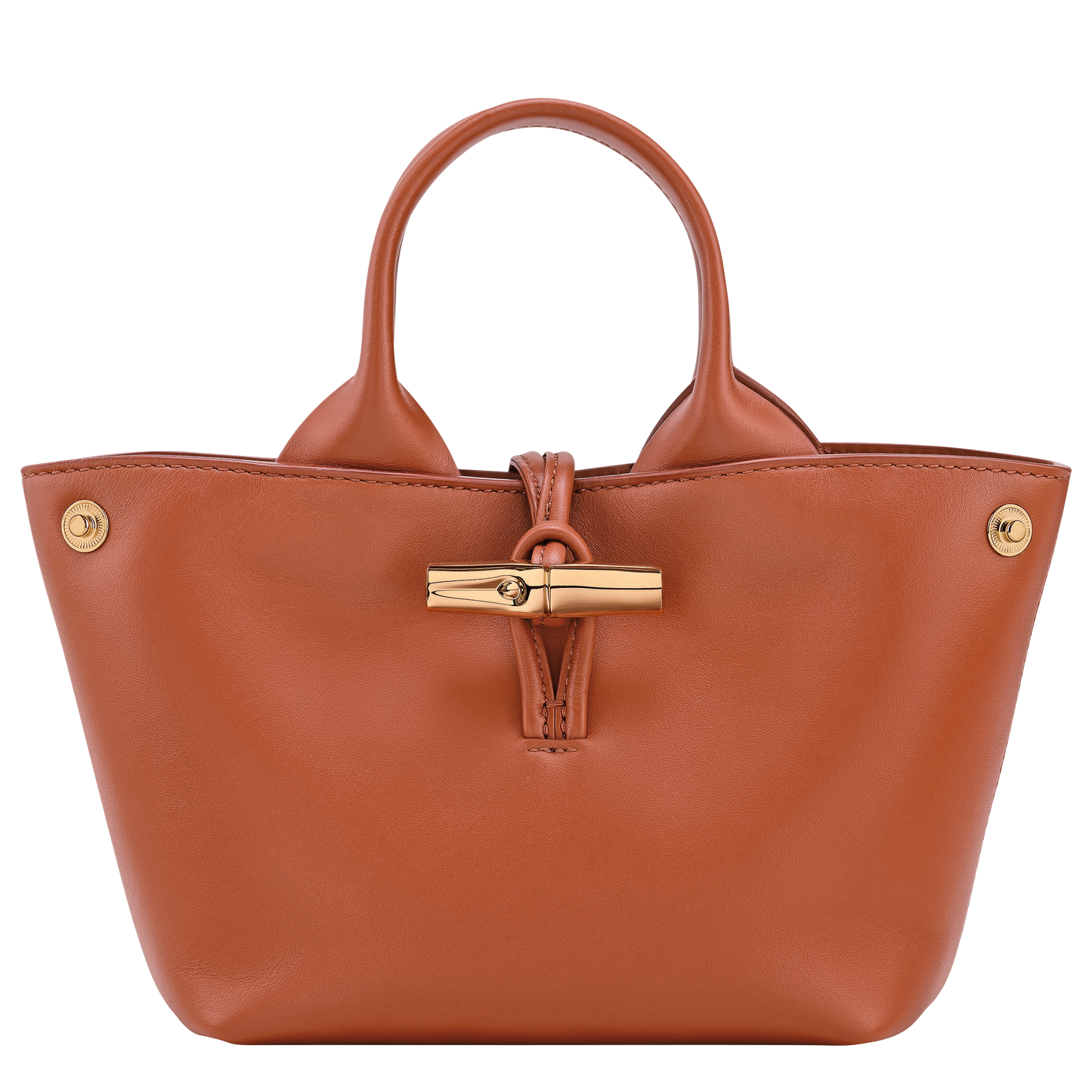Le Roseau XS Handbag
