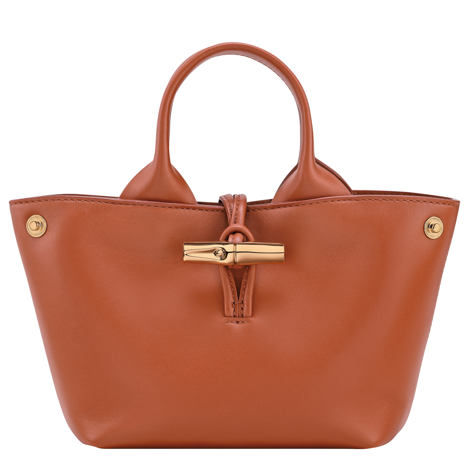 Le Roseau XS Handbag
