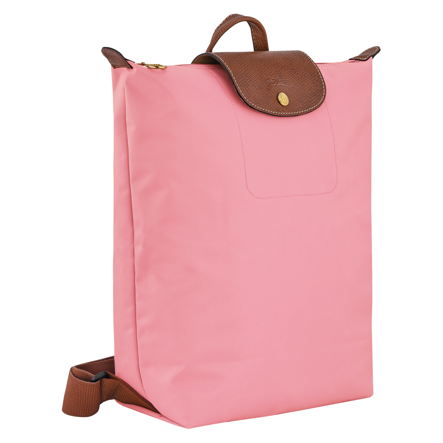 Le Pliage Original M Backpack