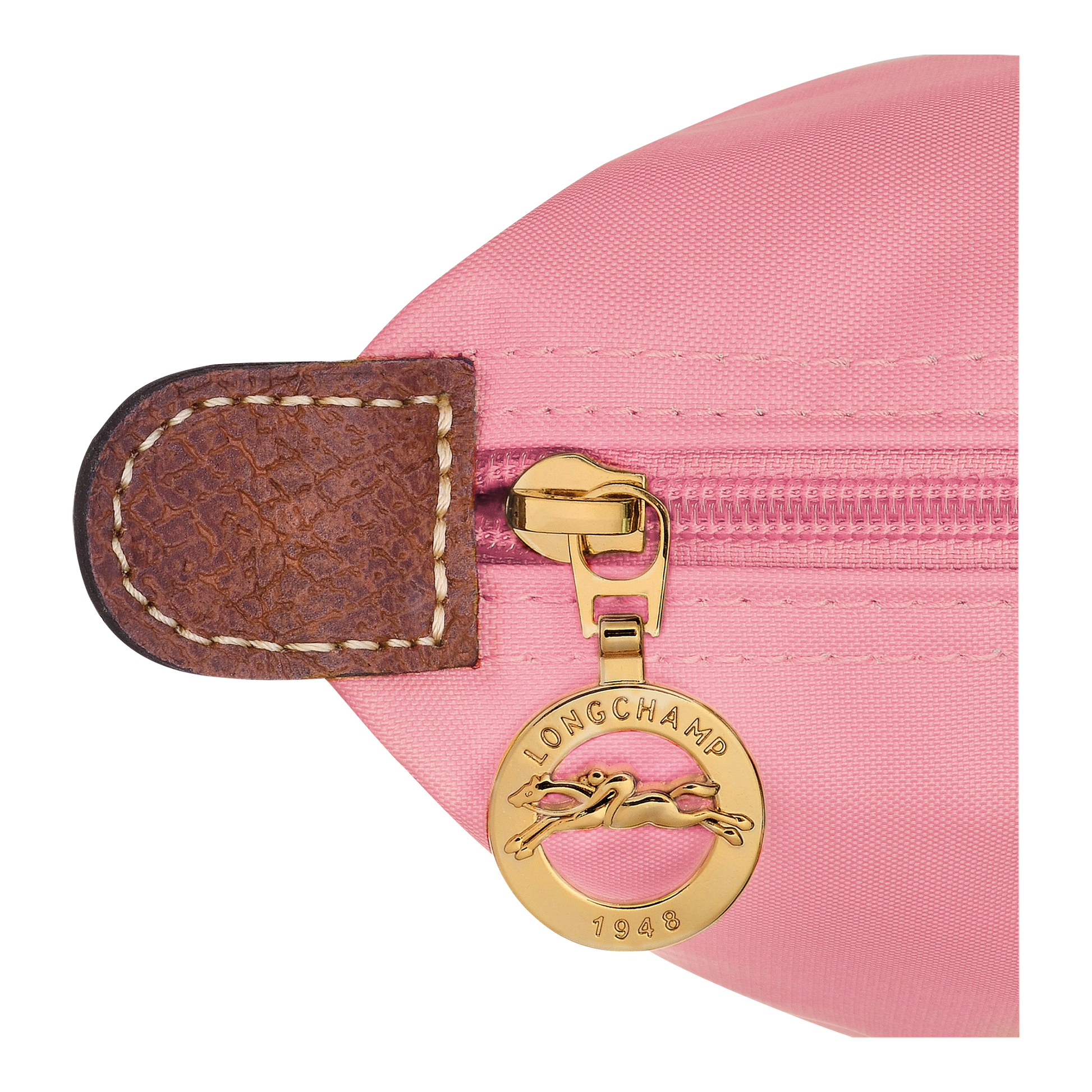 Le Pliage Original M Backpack