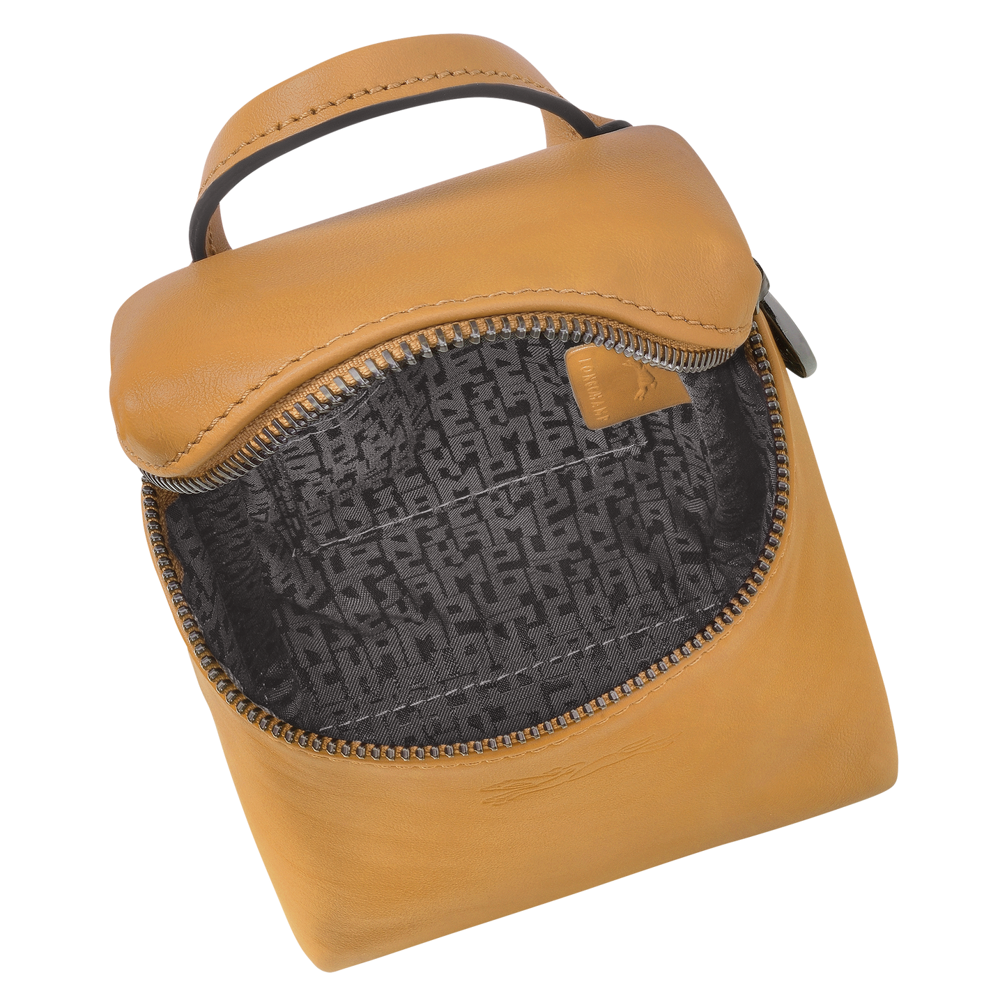 Le Pliage Xtra XS Crossbody bag