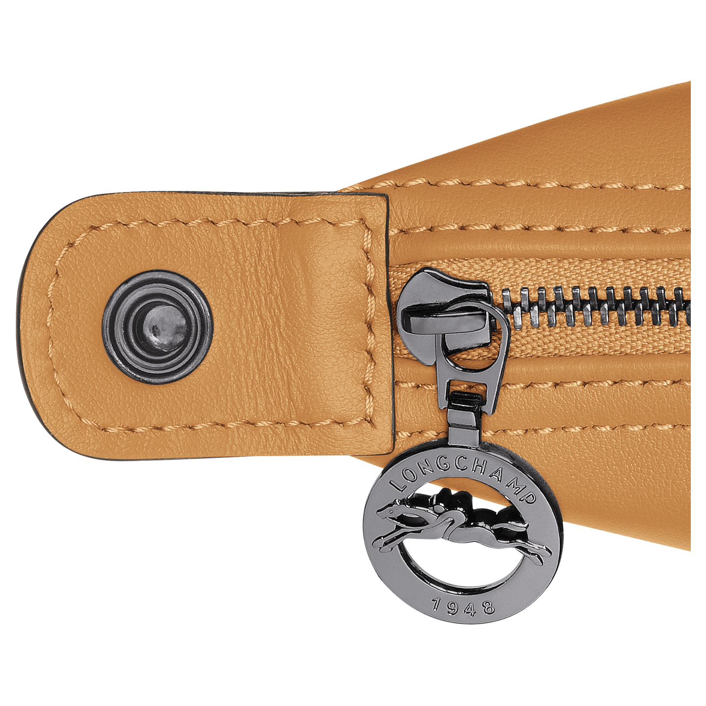 Le Pliage Xtra XS Handbag