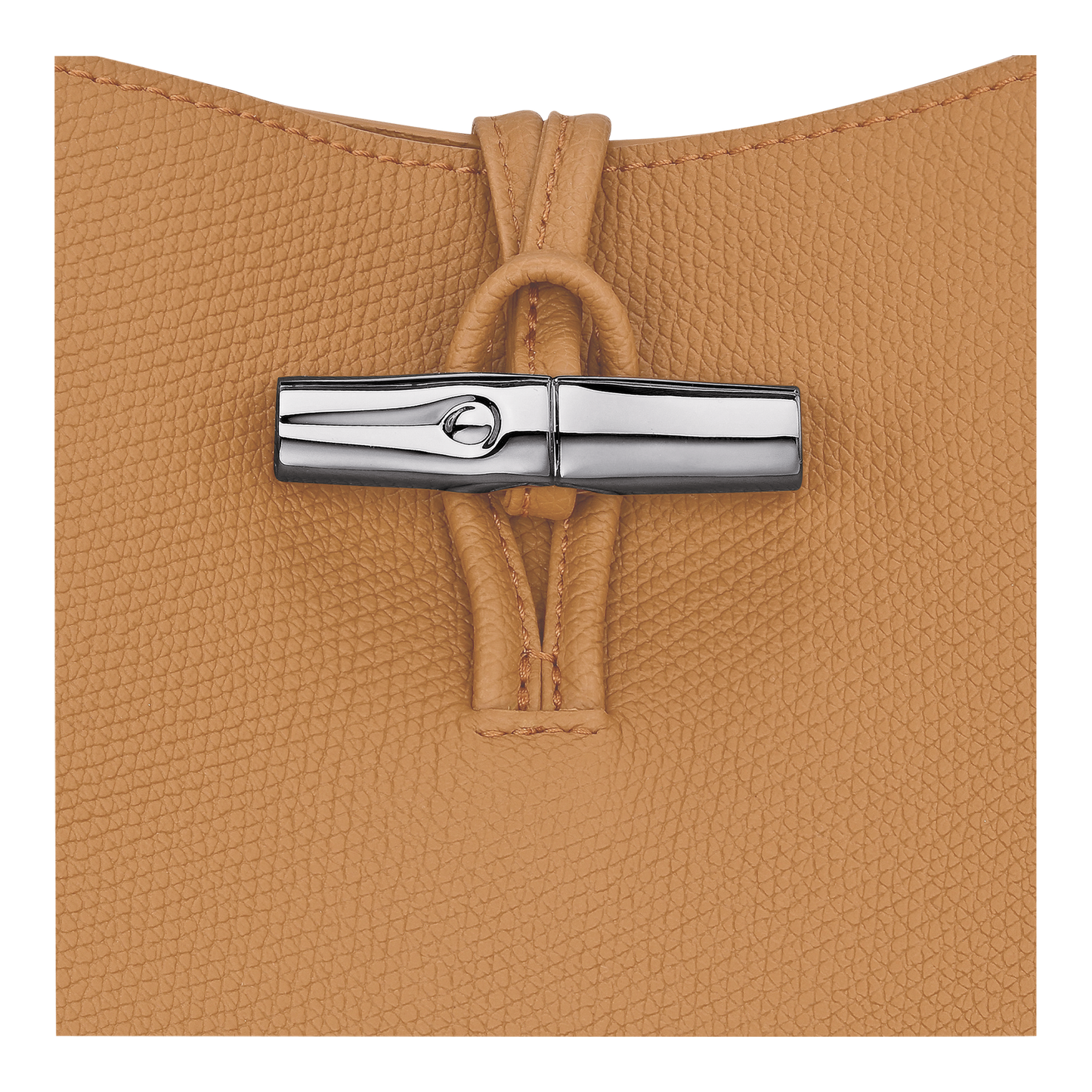 Le Roseau M Hobo bag