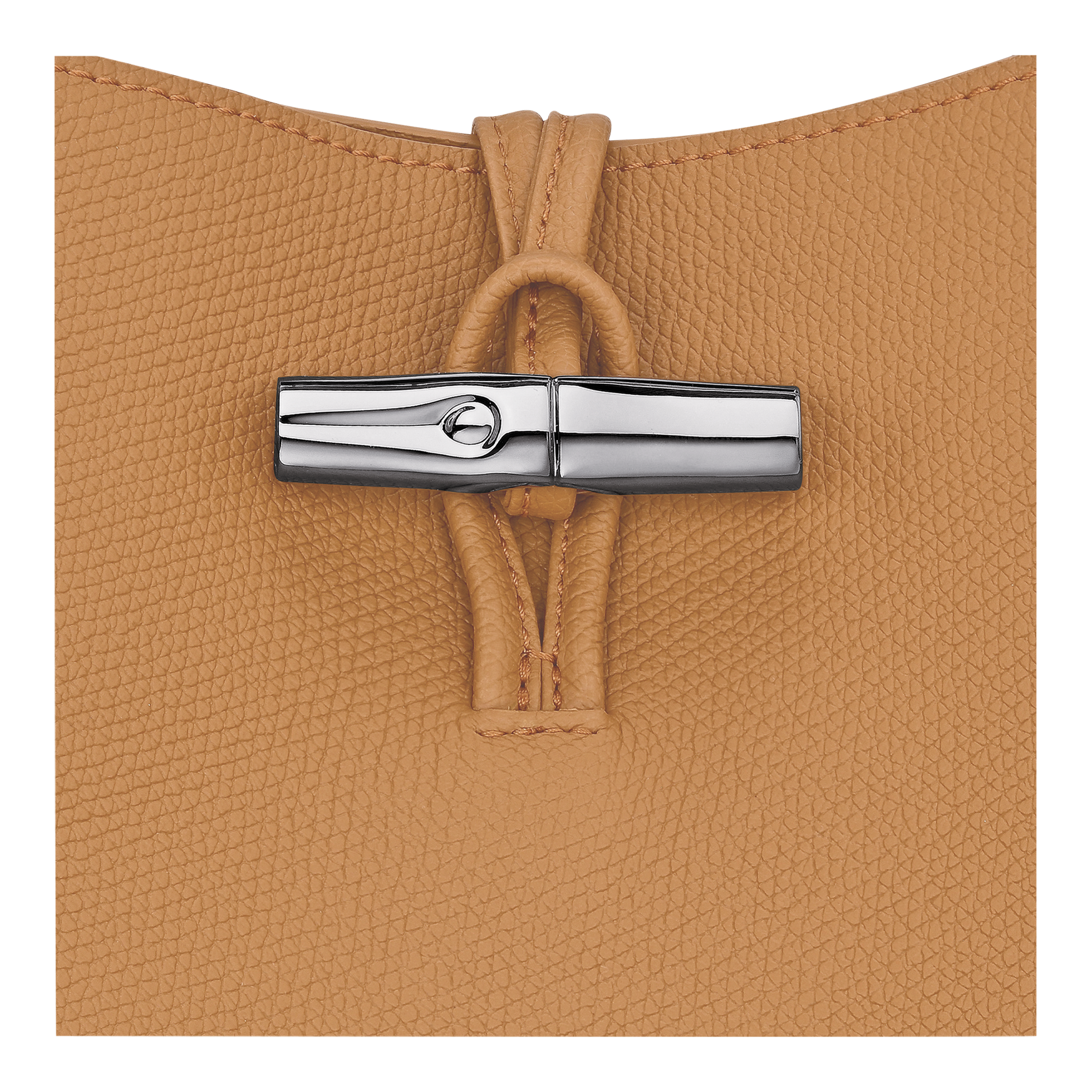 Le Roseau M Hobo bag