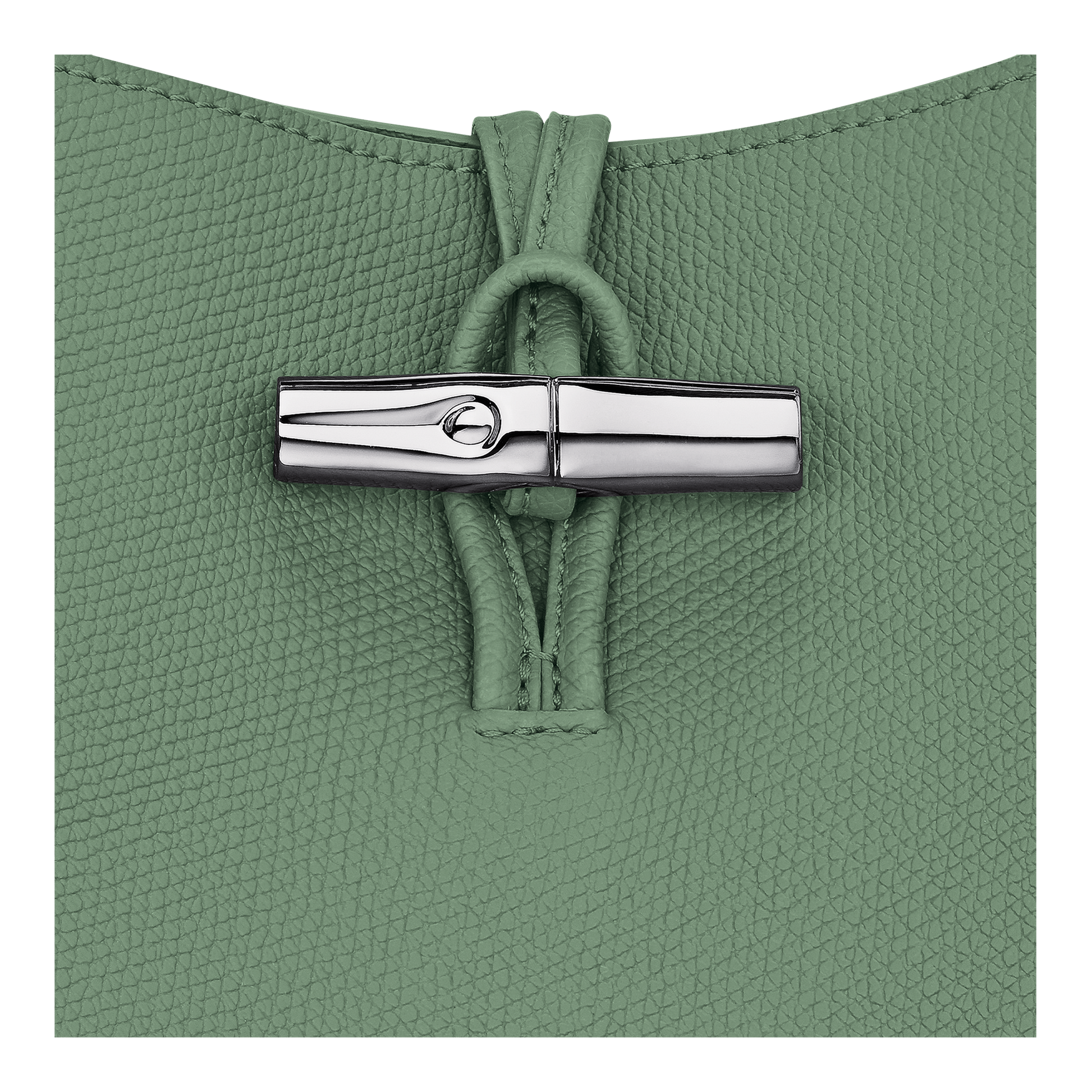 Le Roseau M Hobo bag