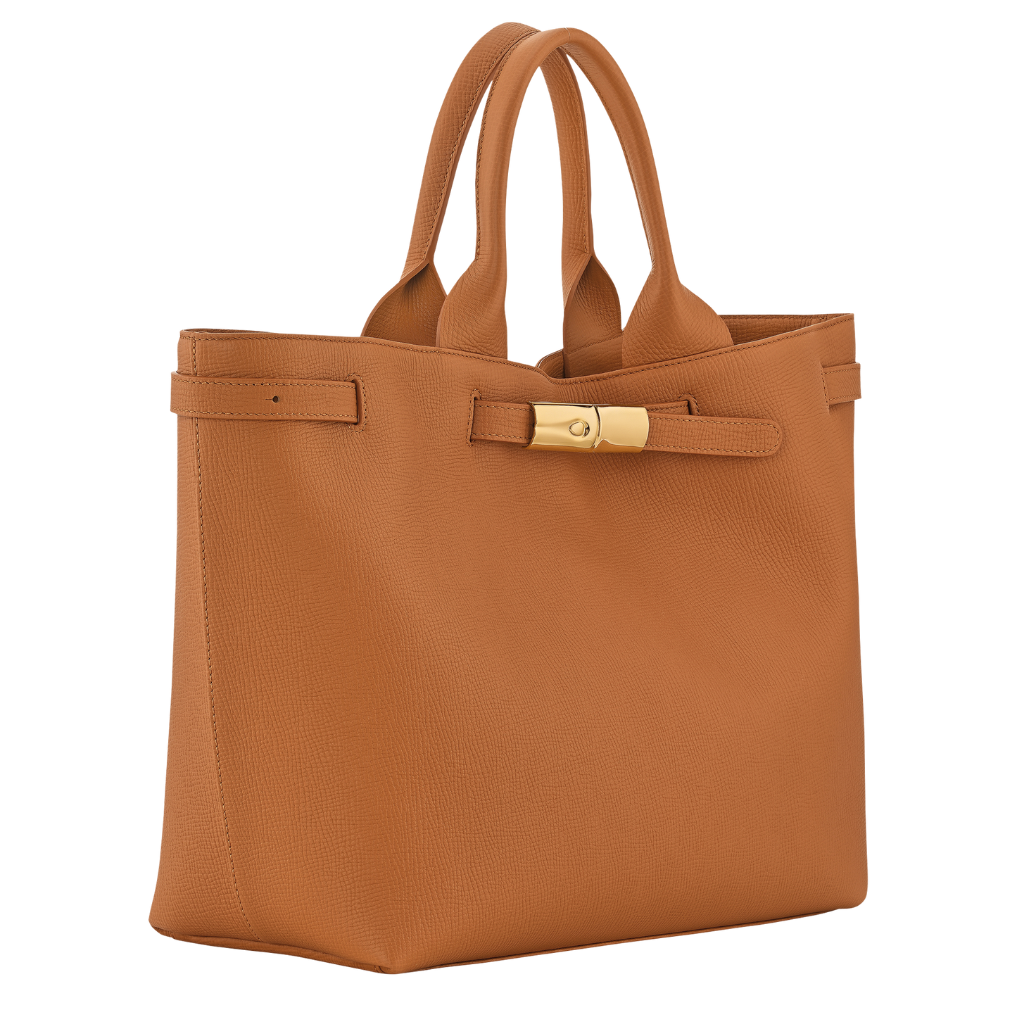 Le Smart L Tote bag