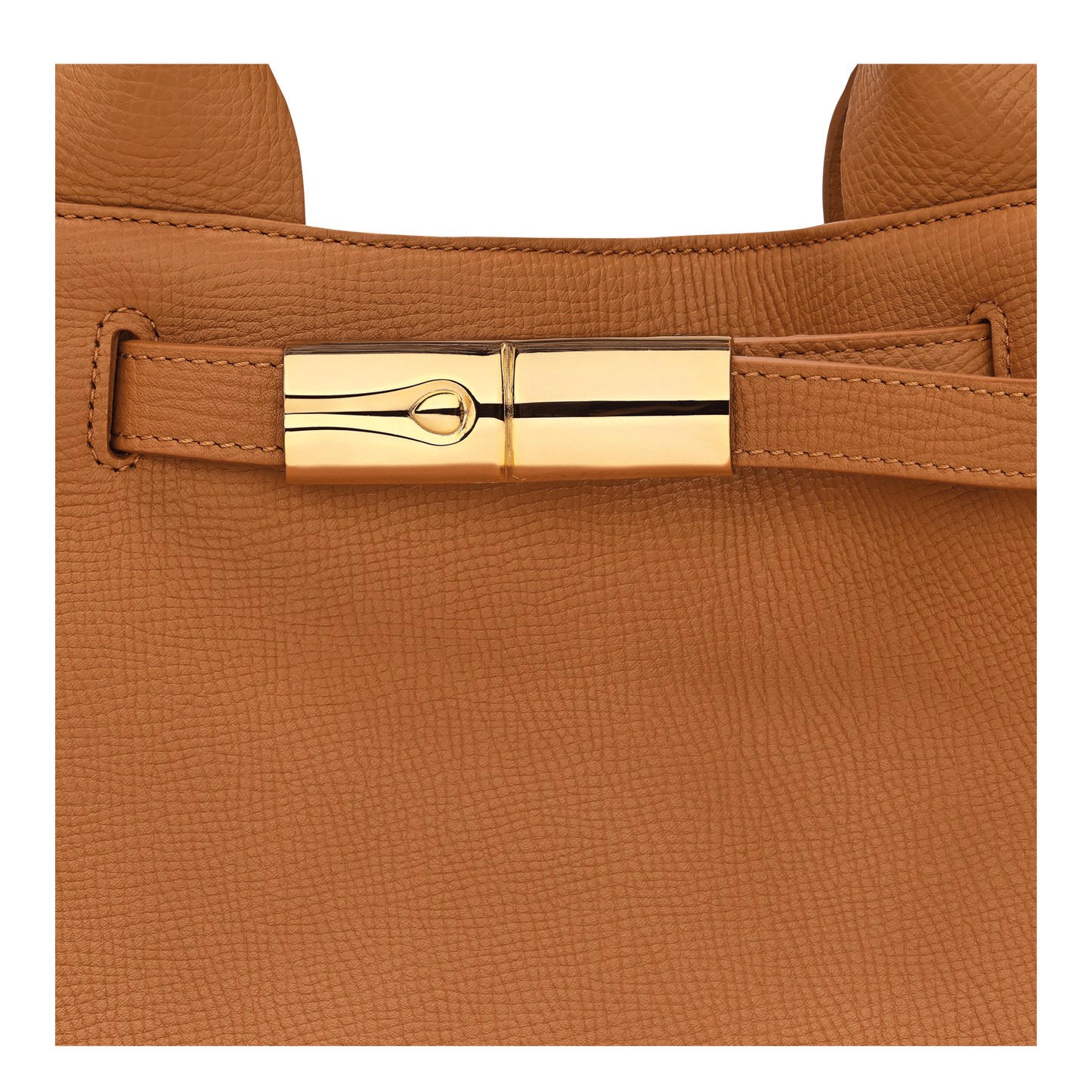 Le Smart L Tote bag