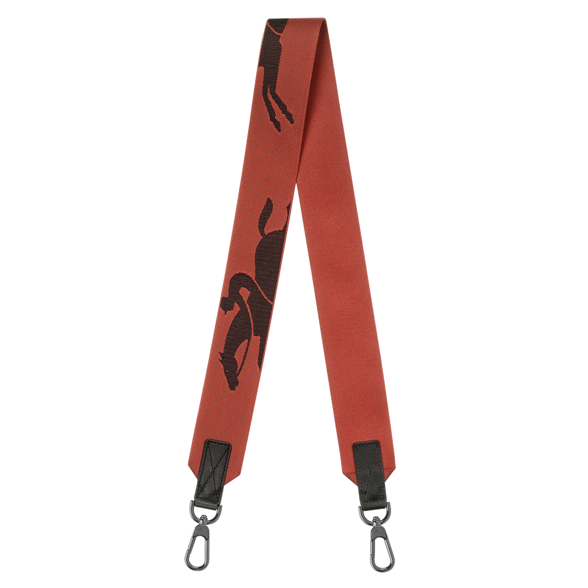 Longchamp 3D  Shoulder strap