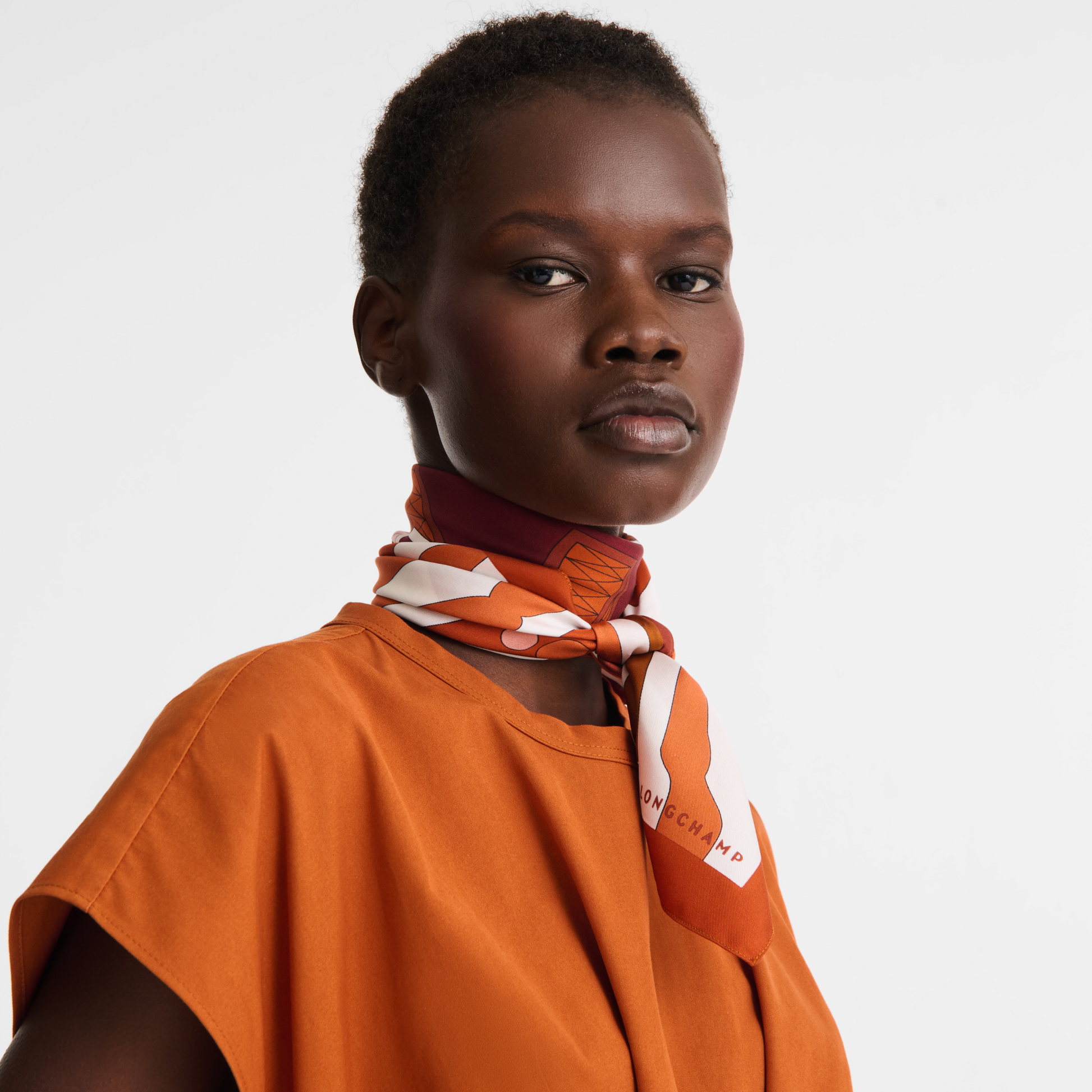 Equestrian Tower  Silk scarf 70