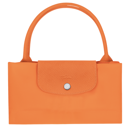 Le Pliage Green M Handbag