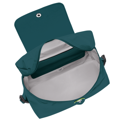 Le Pliage Green M Backpack