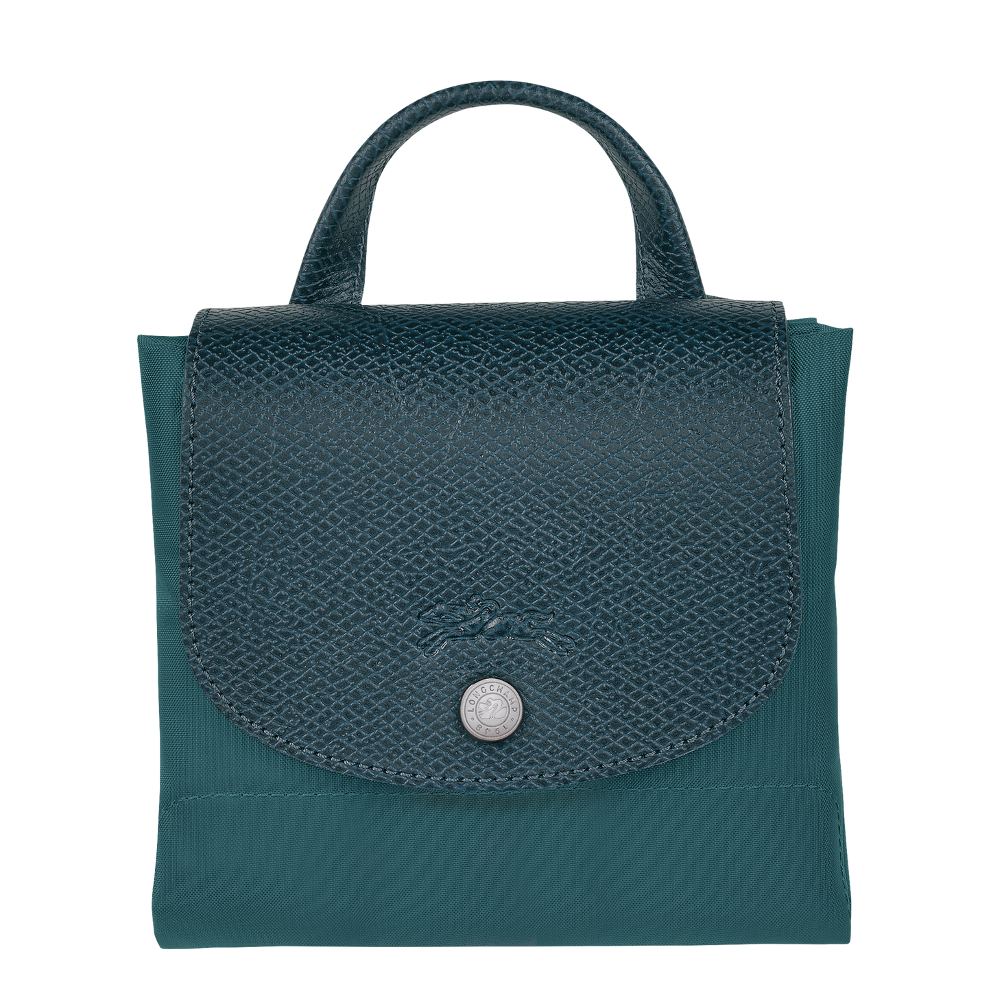 Le Pliage Green M Backpack